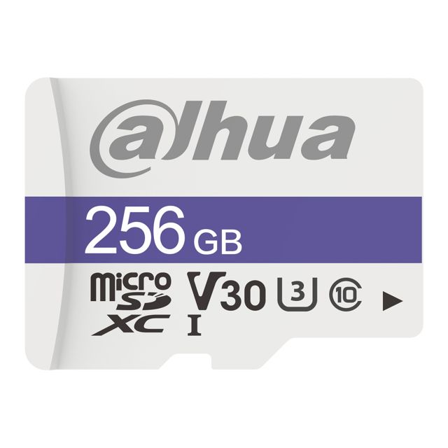 Dahua C100 microSD card TF-C100/256GB • Dahua